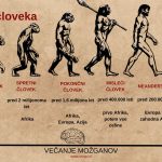 Prazgodovina - predniki človeka _ pregled